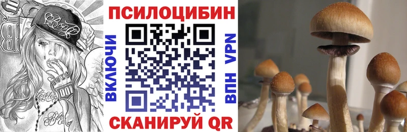 площадка какой сайт  где продают   Каменка  Псилоцибиновые грибы GOLDEN TEACHER 
