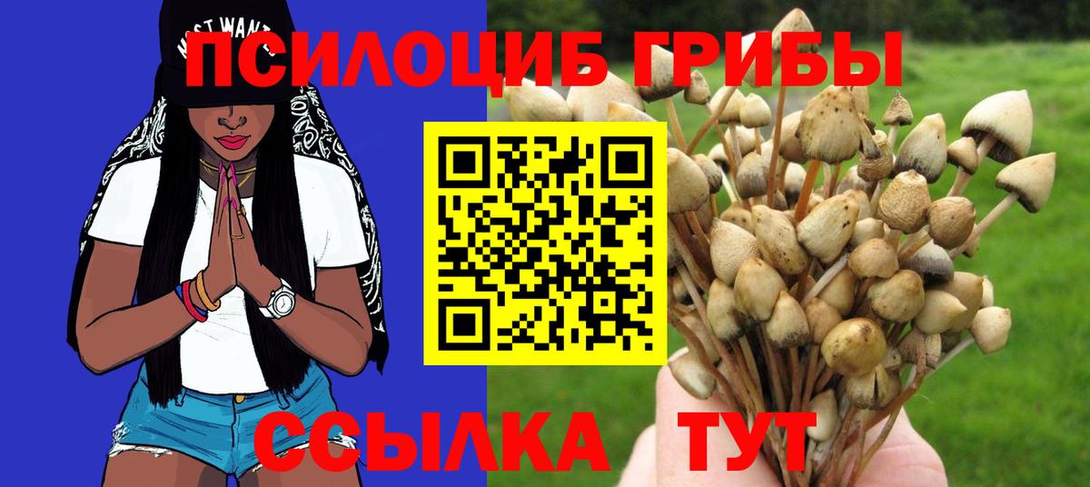 Галлюциногенные грибы Magic Shrooms Каменка