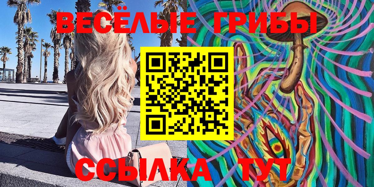Псилоцибиновые грибы Psilocybine cubensis  Вход с VPN  продажа наркотиков  Каменка 